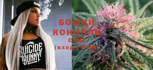 ECSTASY Кукмор