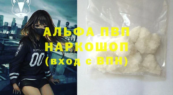 ECSTASY Кукмор