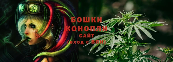 ECSTASY Кукмор