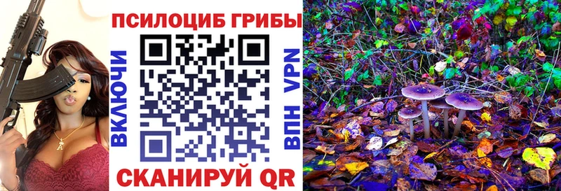 блэк спрут маркетплейс  Чудово  Псилоцибиновые грибы прущие грибы 